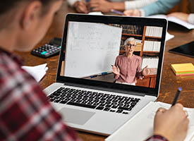 Student watching online lesson