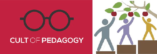 cult of pedagogy and equity simulation