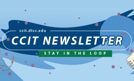 CCIT Newsletter - Summer 2024